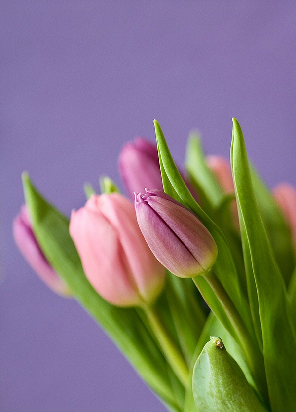 Otterpohl, Karl-Heinz