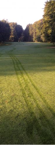 Rusche, Heinz-Jürgen