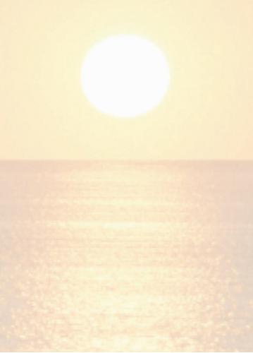 Nicol, Wilhelm Wolfgang