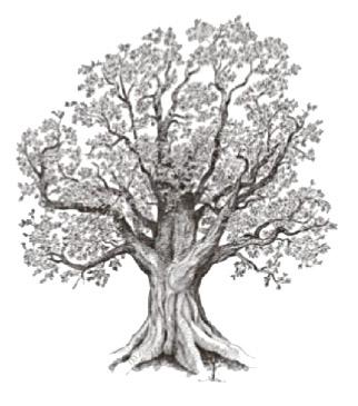 Maschmeier, Dietrich