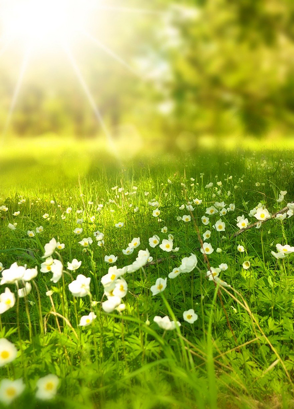 Dettenberg, Christel